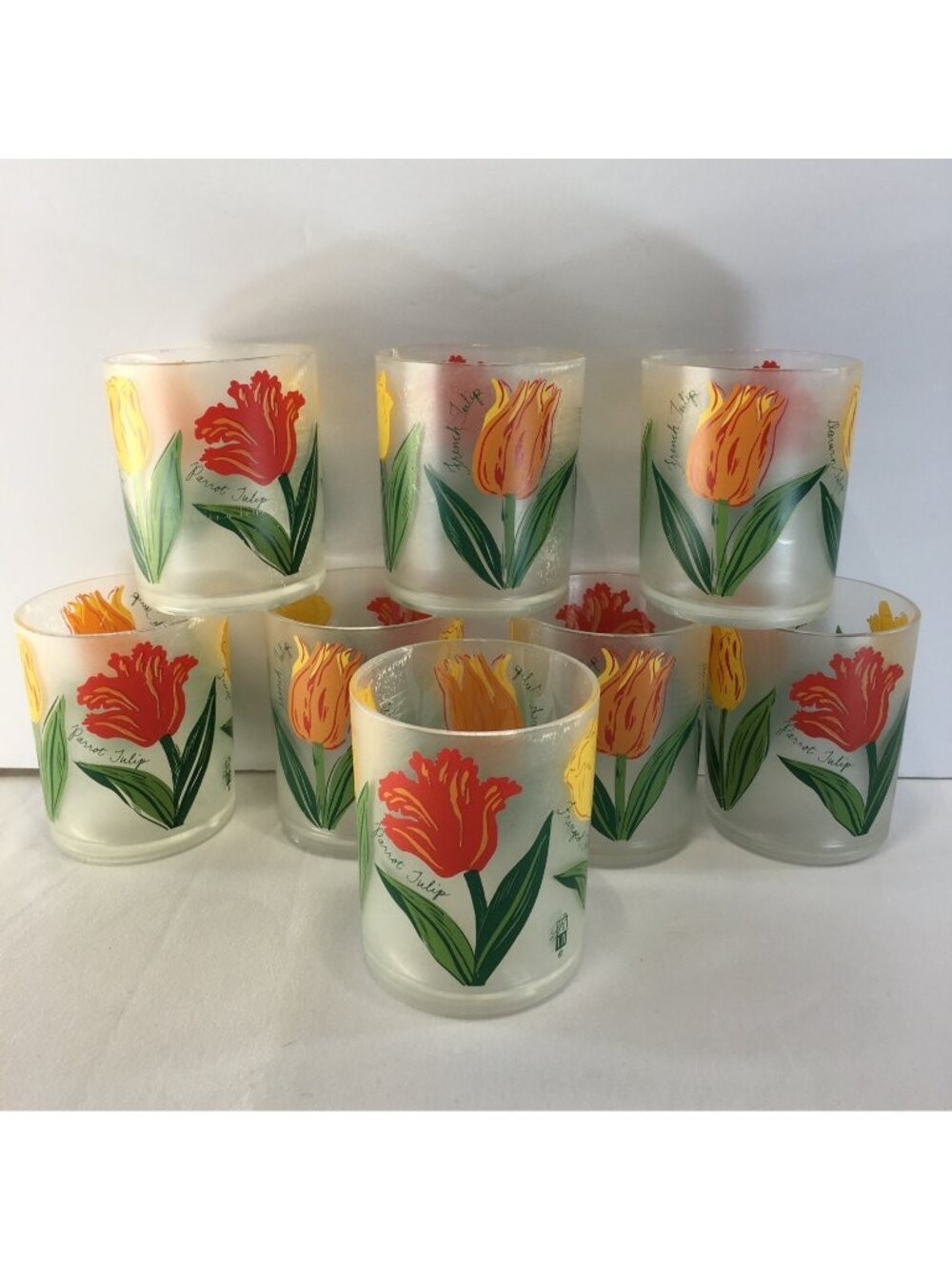 Vtg Precisioncraft Drinking Glasses Frosted Acrylic Parrot Tulip Design Set of 8